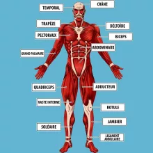 Body bébé Le Titan Colossal « Titanatomie colossale... » – Parodie L'attaque des Titans