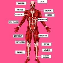 Débardeur Enfant Fille Le Titan Colossal « Titanatomie colossale... » – Parodie L'attaque des Titans