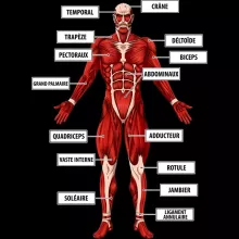 Débardeurs Enfants Le Titan Colossal « Titanatomie colossale... » – Parodie L'attaque des Titans