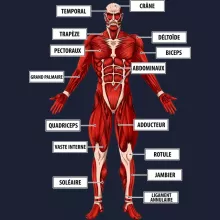 Sweat-Shirt à capuche Le Titan Colossal « Titanatomie colossale... » – Parodie L'attaque des Titans