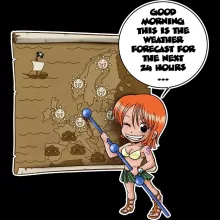 Nami Kids Hoodie “Nami and Vivi” – One Piece parody
