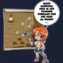 Nami Hoodie “Nami and Vivi” – One Piece parody