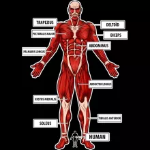 Colossal Titan Phone Case – Attack on Titan parody