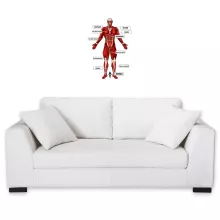 Wall Stickers Manga Parodies