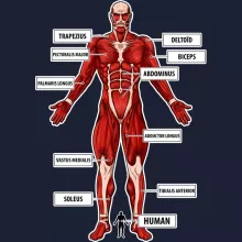Colossal Titan Hoodie – Attack on Titan parody