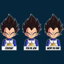 Bonnet Végéta « Un jeu d'acteur de niveau princier » – Parodie Dragon Ball Z