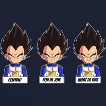 Sweat-Shirt à capuche Végéta « Un jeu d'acteur de niveau princier » – Parodie Dragon Ball Z