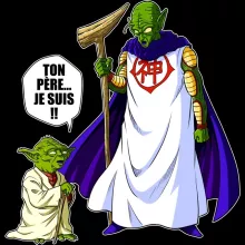 Bonnet Yoda « Ton père... Je suis !! » – Parodie Star Wars